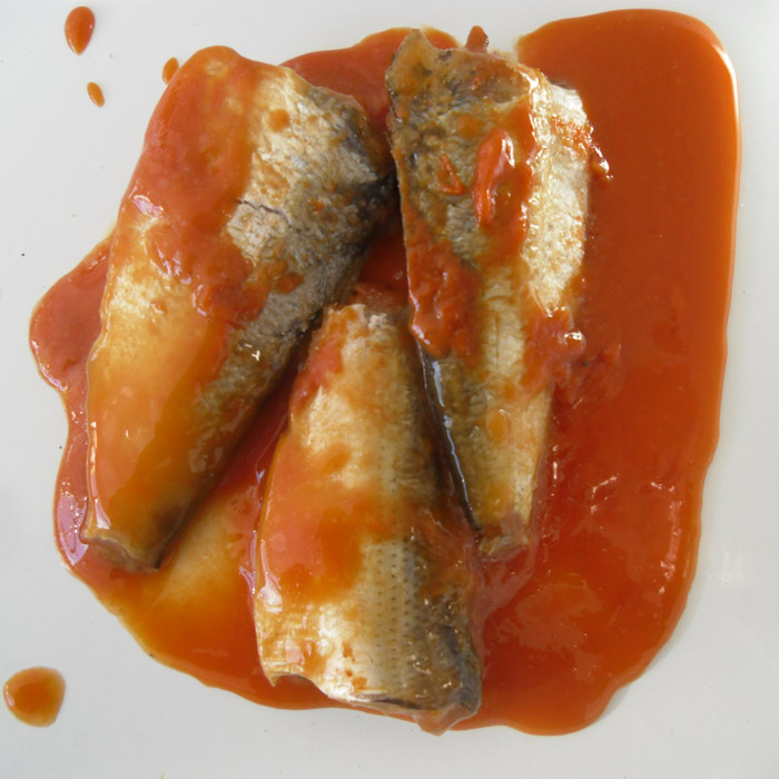 Canned sardine fish in brine